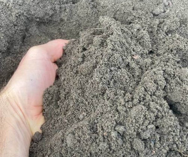 Soil or sand: Which is better for top dressing your garden?